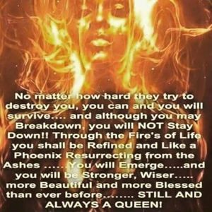 Meet your Posher, Lachone